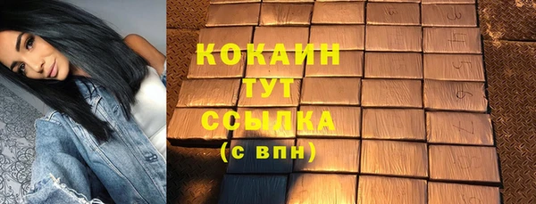 ALPHA PVP Покров
